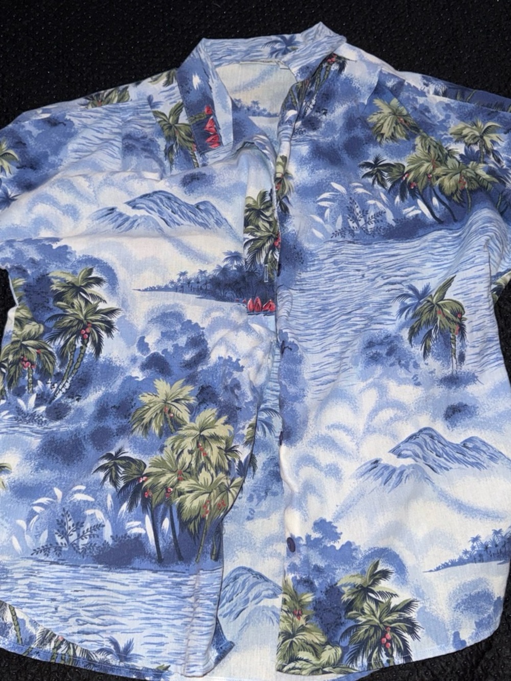 Cabin Creek Blue Tropical Print Button-Down Shirt Size Medium Vintage Men’s wear